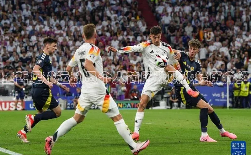 2121非凡app官方下载百度人工翻译王哲足球运动员个人简历及职业经历介绍