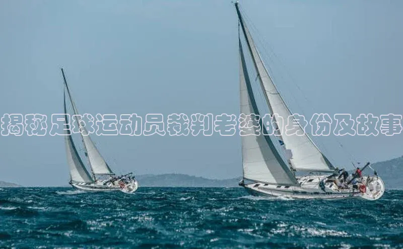 2121非凡体育登录入口百度游戏揭秘足球运动员裁判老婆的身份及故事