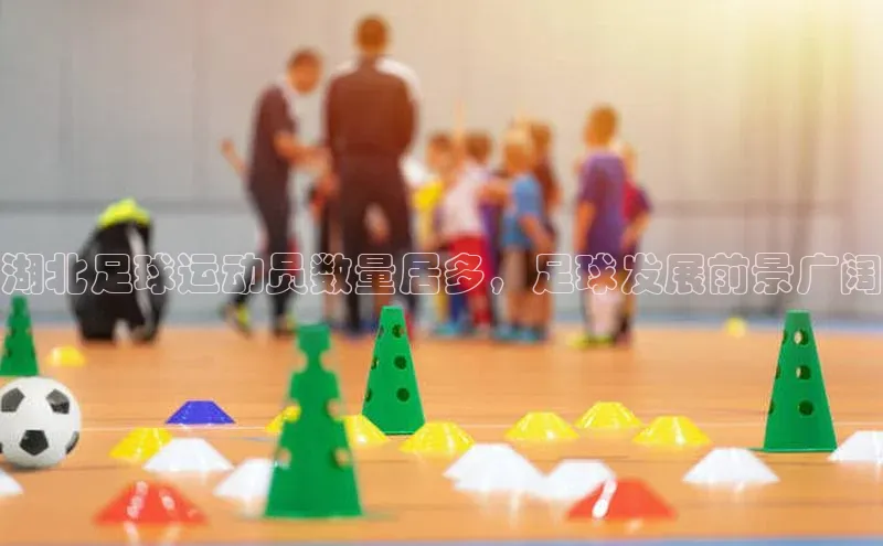 非凡体育平台登录入口百度取证湖北足球运动员数量居多，足球发展前景广阔