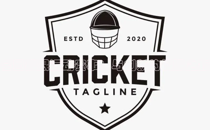 全国极限运动赛事：与创新的极限之旅