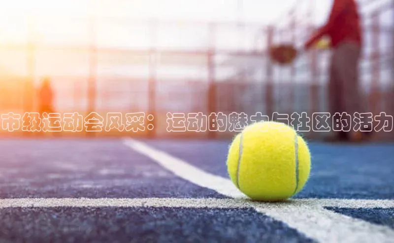 市级运动会风采：运动的魅力与社区的活力