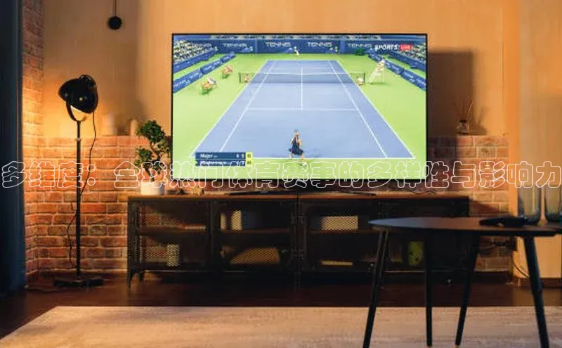 多维度：全球热门体育赛事的多样性与影响力