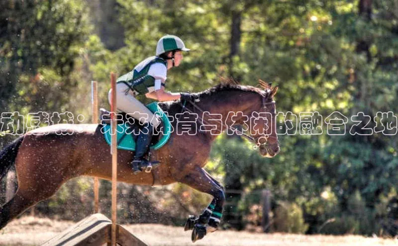 动感城：未来体育与休闲的融合之地