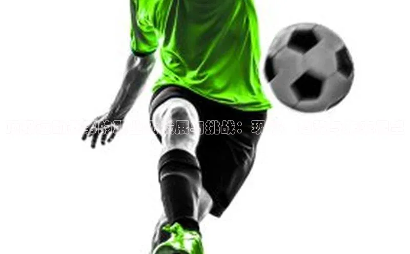 顶级运动赛事的职业化发展与挑战：现状、趋势与未来展望