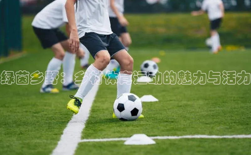 绿茵乡野：乡村体育运动的魅力与活力