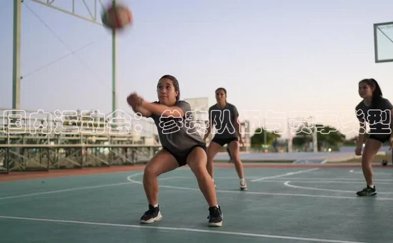 国内运动会：参赛队伍与赛事类型