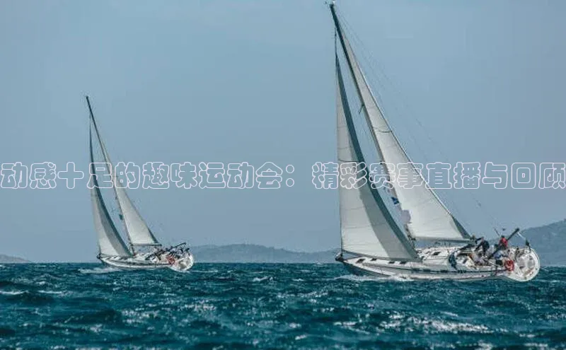 动感十足的趣味运动会：精彩赛事直播与回顾