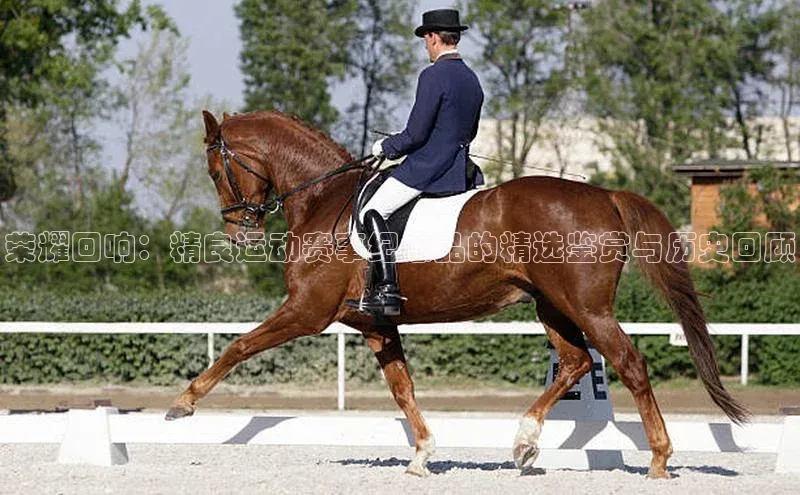 荣耀回响：精良运动赛事纪念品的精选鉴赏与历史回顾