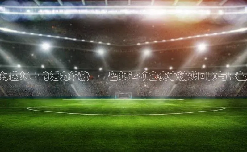 绿茵场上的活力绽放——留坝运动会赛事精彩回顾与展望