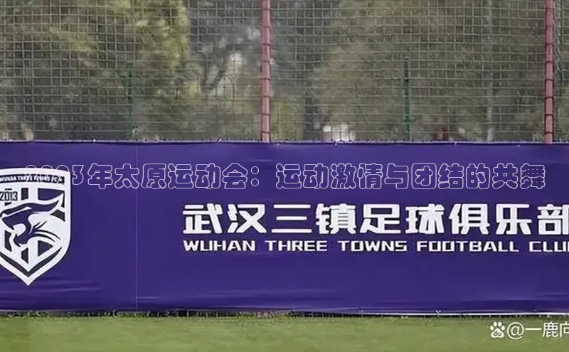 2023年太原运动会：运动激情与团结的共舞