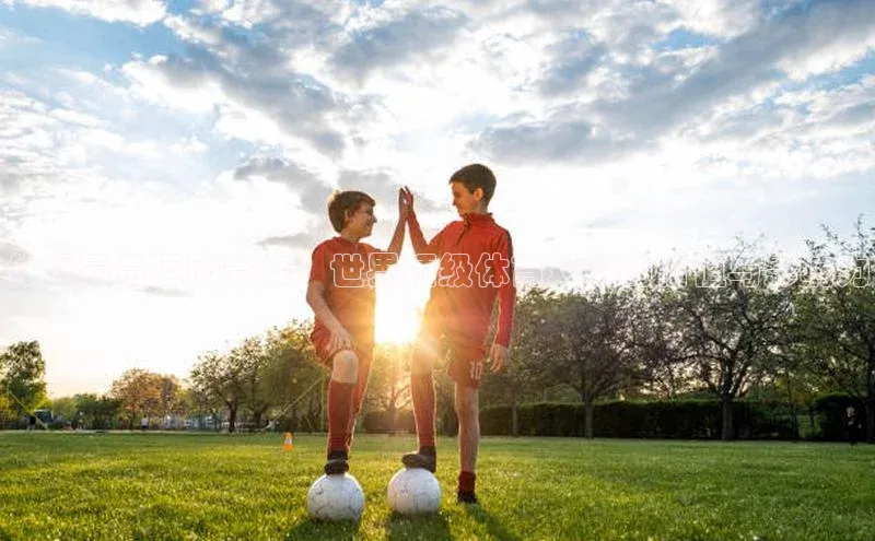 体坛最贵运动赛事：世界顶级体育对决的价值与影响力