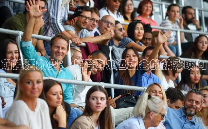 萌娃活力赛：小猪趣味运动会的精彩瞬间