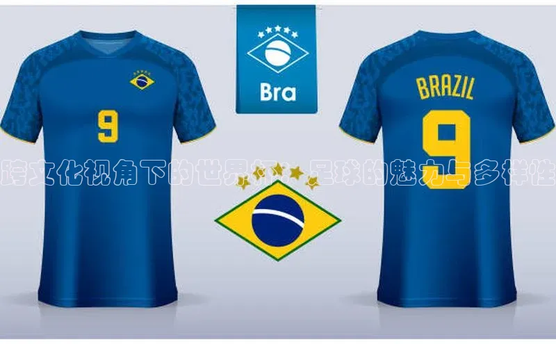 跨文化视角下的世界杯：足球的魅力与多样性