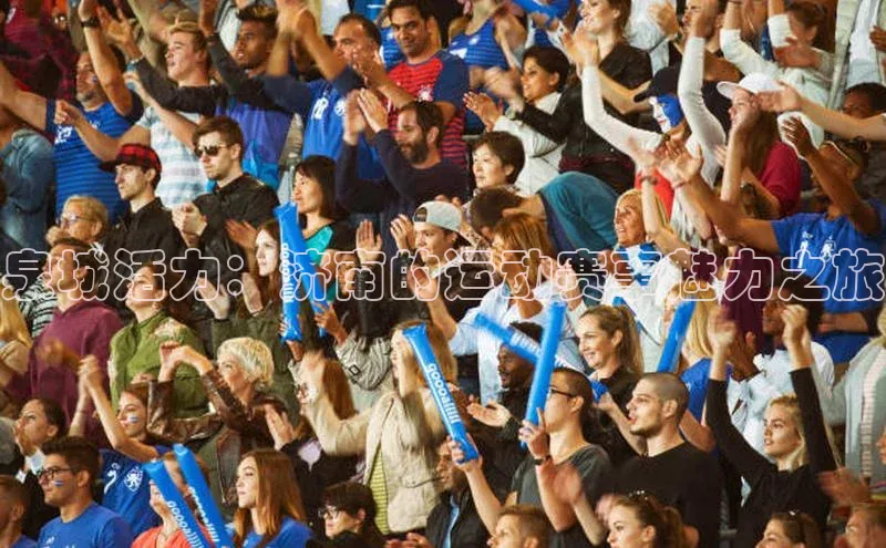 泉城活力：济南的运动赛事魅力之旅