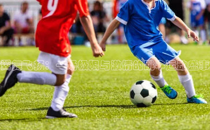 翼舞飞扬：一场极限与激情的跳伞运动盛事