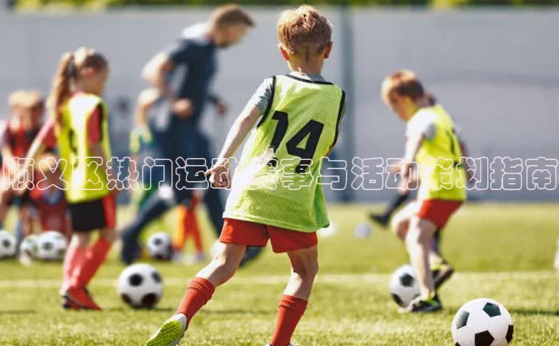 顺义区热门运动赛事与活动策划指南