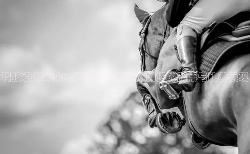 非凡体育官网入口